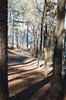 2022-02-20 JP Coleman State Park 059